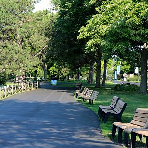 Detroit Zoo - Outside the Guanaco exhibit - July, 2016