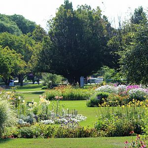 Detroit Zoo - Gardens - July, 2016