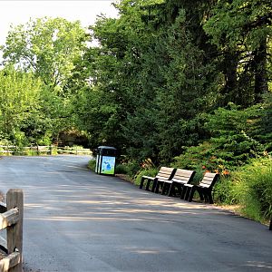 Detroit Zoo - Walkway outside of the Australian Outback Adventure - July, 2016