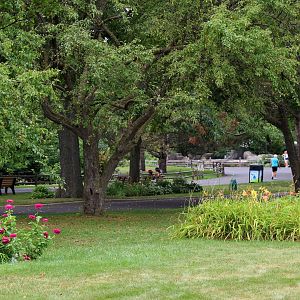 Detroit Zoo - July, 2016