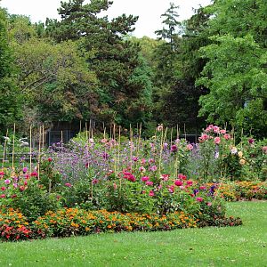 Detroit Zoo - Gardens - July, 2016