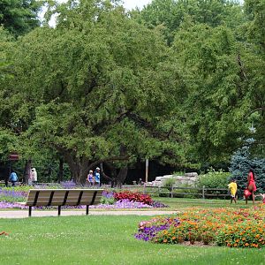 Detroit Zoo - Gardens - July, 2016