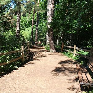 Detroit Zoo - Nature trail - September, 2016