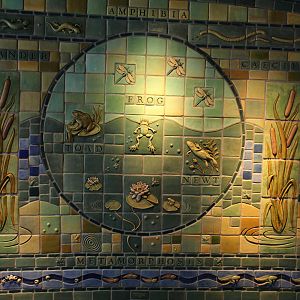 Detroit Zoo - Tile mural / Amphibianville - September, 2016