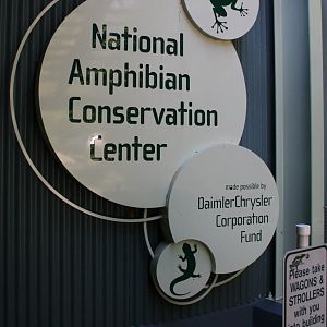 Detroit Zoo - Amphibianville - September, 2016