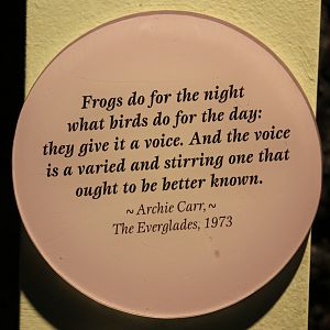 Detroit Zoo - Amphibianville - September, 2016