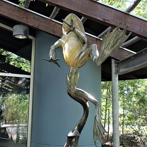 Detroit Zoo - Amphibianville - September, 2016