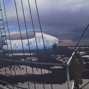 Detroit Zoo - Polk Penguin Conservation Center - September, 2016