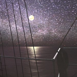 Detroit Zoo - Polk Penguin Conservation Center - September, 2016