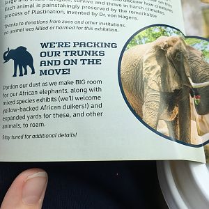 Elephant exhibit info.