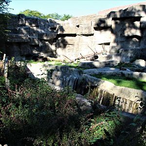 Detroit Zoo - Another bear den - September, 2016