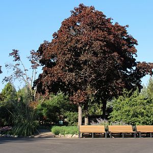 Detroit Zoo - Garden area - September, 2016