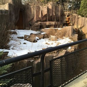 Empty exhibit (former badger)