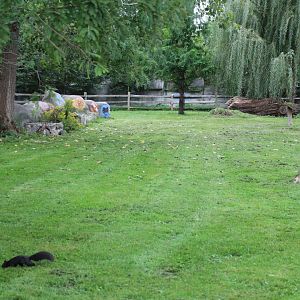 Detroit Zoo - Australian Outback Adventure enclosure - October, 2016