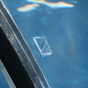 Detroit Zoo - Arctic Ring of Life Polar Passage plexiglass - October, 2016