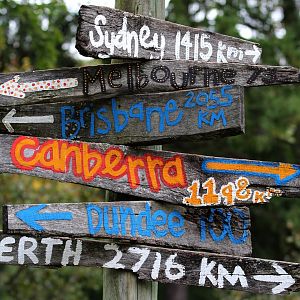 Detroit Zoo - Australian Outback Adventure - October, 2016