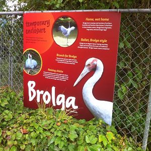 Temporary Brolga Enclosure Sign