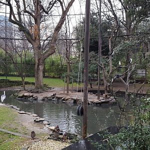 big walkthrough aviary