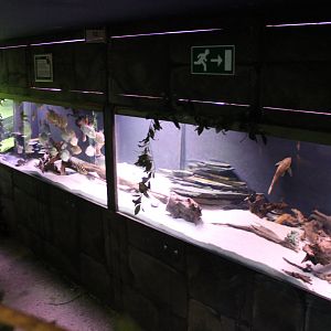 Aquarium