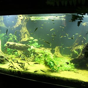 Aquarium
