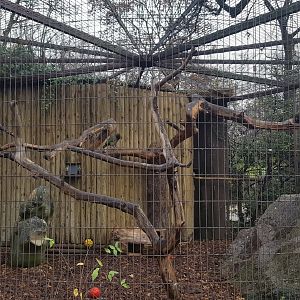 kea aviary