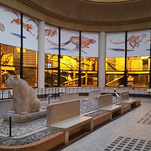 indoor interior cathouse