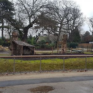 new malayan tapir enclosure