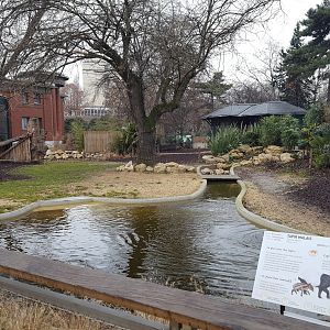new malayan tapir enclosure (water view)