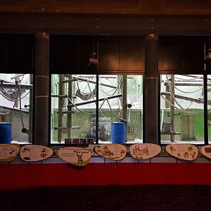 orangutan indoor enclosure