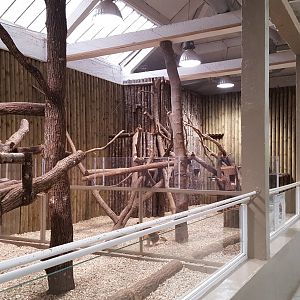 indoor tree kangaroo house