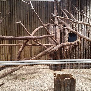 tree kangaroo and clouded rat enclosure