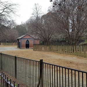 south american enclosure