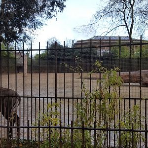 nilgai antilope enclosure