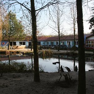 African penguin enclosure