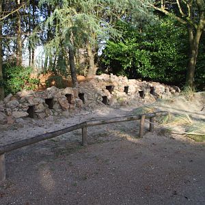 nesting boxes in the African penguin enclosure