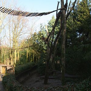 South American coati enclosure