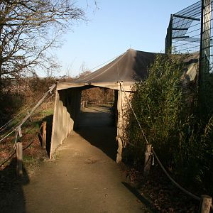 lion enclosure viewing shelter