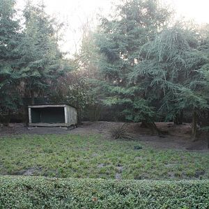 Striped skunk enclosure