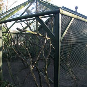 White-faced saki and Common marmoset enclosure