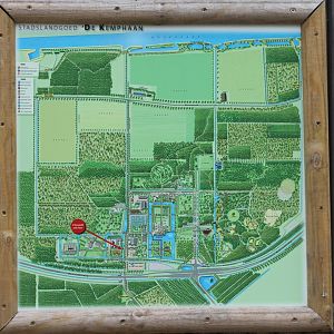 Plan of the larger area