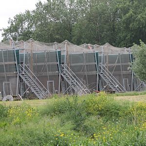 Chimp-complex Front-enclosures