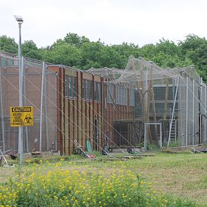 Chimp-complex - Side-enclosures
