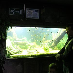 Aquarium