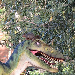 Squirrel on Velociraptor