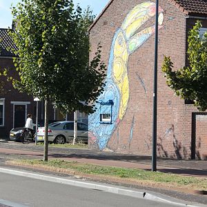 Toucan Wall-painting