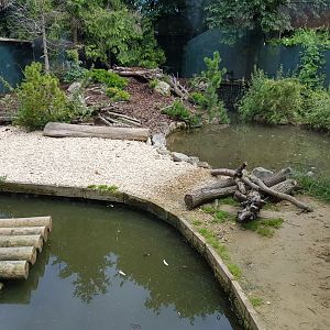 Otter Enclosure - Bristol Zoo, July 2016.