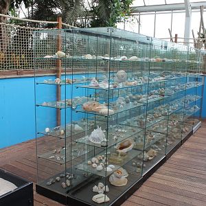 Shell-collection