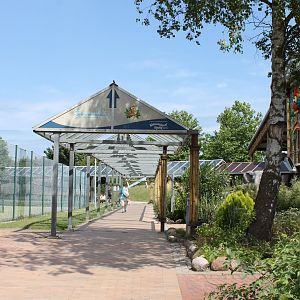 Path to the entrance