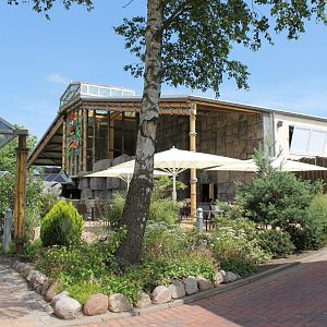 Abenteuer Dschungelland