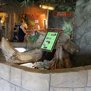 Guinea-pig enclosure and entrance